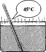 shab61.gif