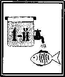 shab75.gif